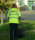 Grass Cutting