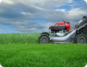Contact us on 0800 121 4960