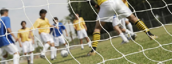 Sports Ground Maintenance Services