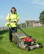 Grass Cutting